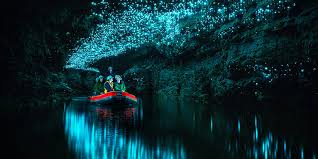 Waitomo Glowworm Caves