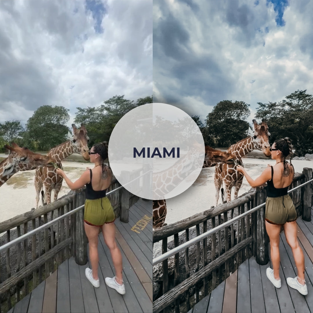 Miami preset