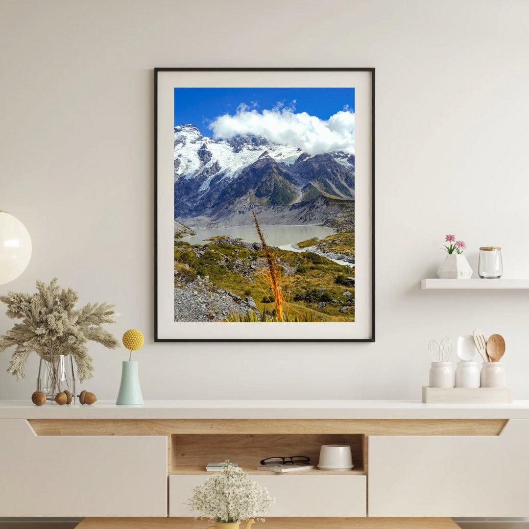 New Zealand Print Collection