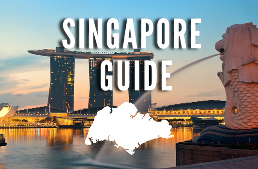 SINGAPORE GUIDE